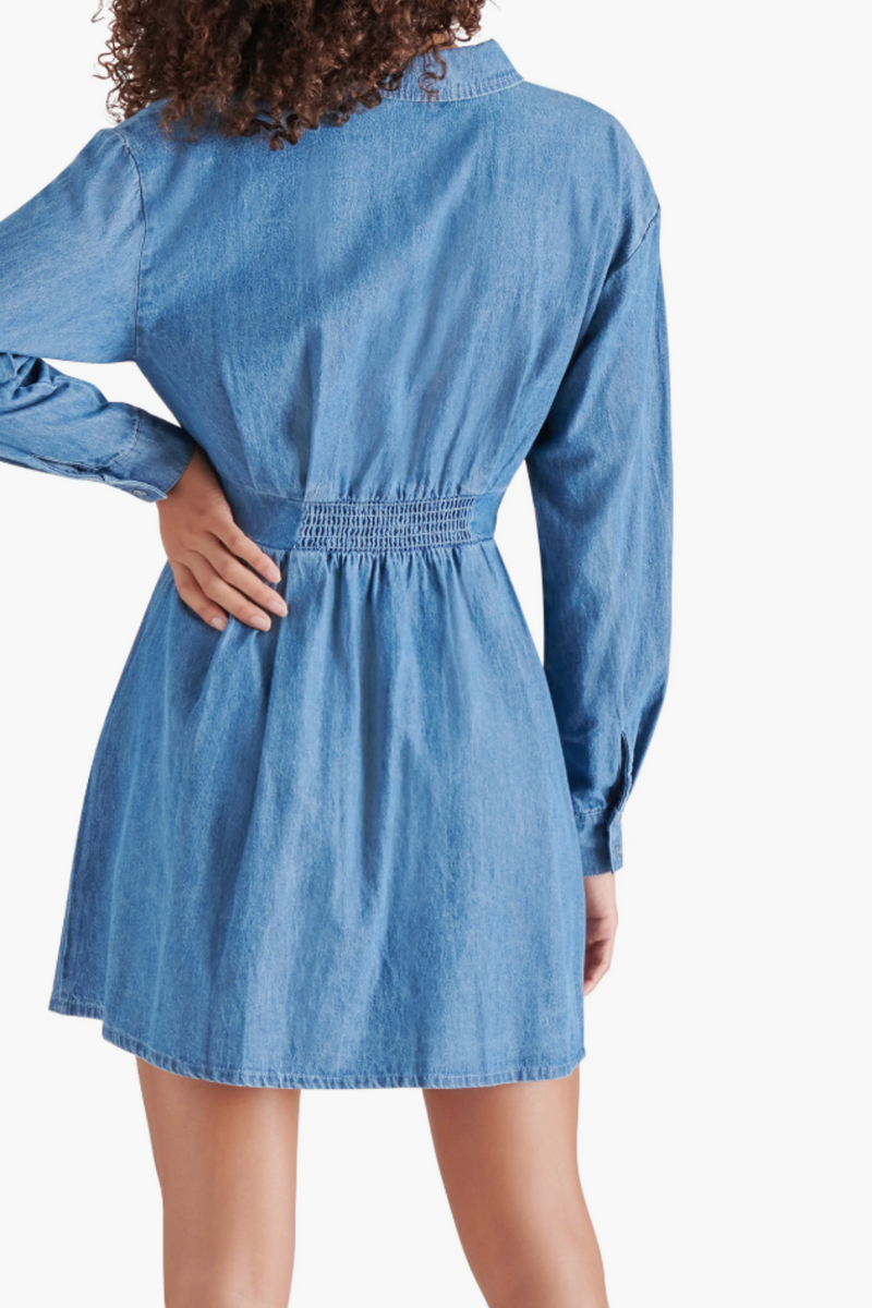 Steve Madden Aria Long Sleeve Mini Shirtdress